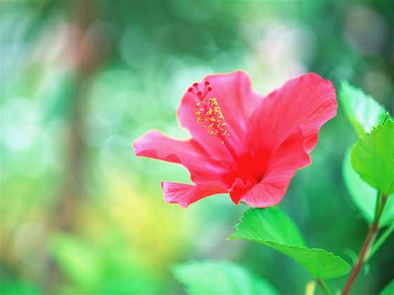 益生菌十大品牌益生菌哪个品牌好，益生菌大比拼，哪个牌子最佳？